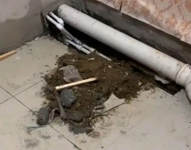 天宁卫生间漏水检测哪家好