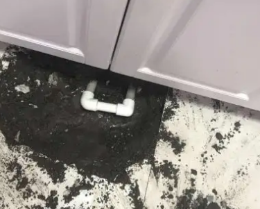 天宁查漏水哪家好
